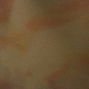 Meet your Posher, Stephen